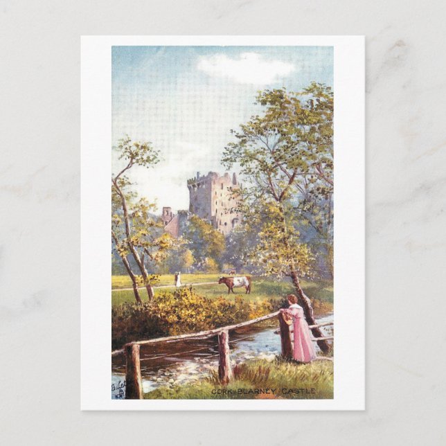 Vintage Blarney Castle, Irland,  Postkarte (Vorderseite)