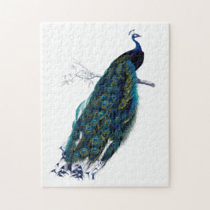 Vintage Blau Eleganter Bunter Pfau Puzzle