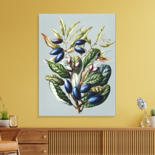 Vintage Blaue Früchte Botanisch Sarah Featon Kunst Leinwanddruck