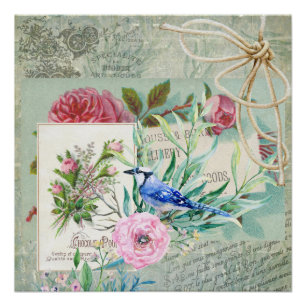 Vintage Blaue Häher-Vogel Rosa Rose Blumen-Collage Poster
