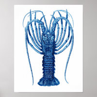 Vintage Blaue Hummer Naturkunde Print#12