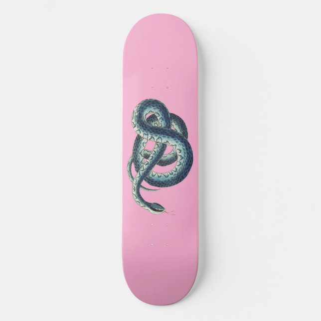 Vintage Blaue Schlangenabbildung auf Rosa Skateboard (Vorderseite)