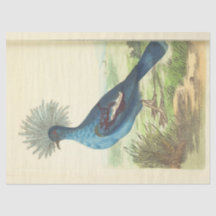 Vintage Blaue Vogel-Ephemera-Decoupage mit Krone
