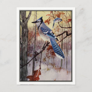 Vintage Blauhäher von Robert Bruce Horsfall Postkarte