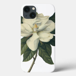 Vintage Blooming White Magnolia Blossom Flowers iPhone 13 Hülle