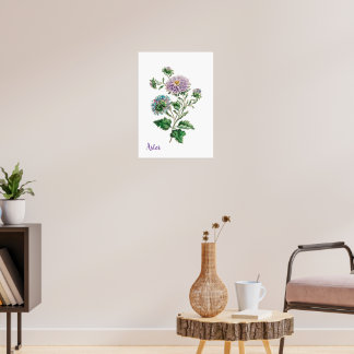 Vintage Blue and Purple Botanical Aster Poster