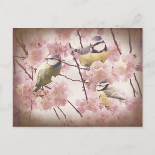 Vintage Blue Tits Postkarte