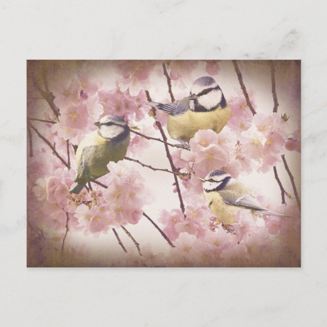 Vintage Blue Tits Postkarte (Vorderseite)