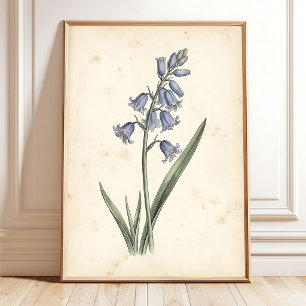 Vintage Bluebell Blumenleinwand-Wandkunst Poster
