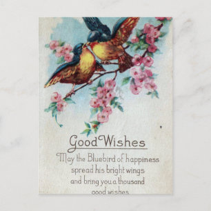 Vintage Bluebird Gute Wünsche Postkarte