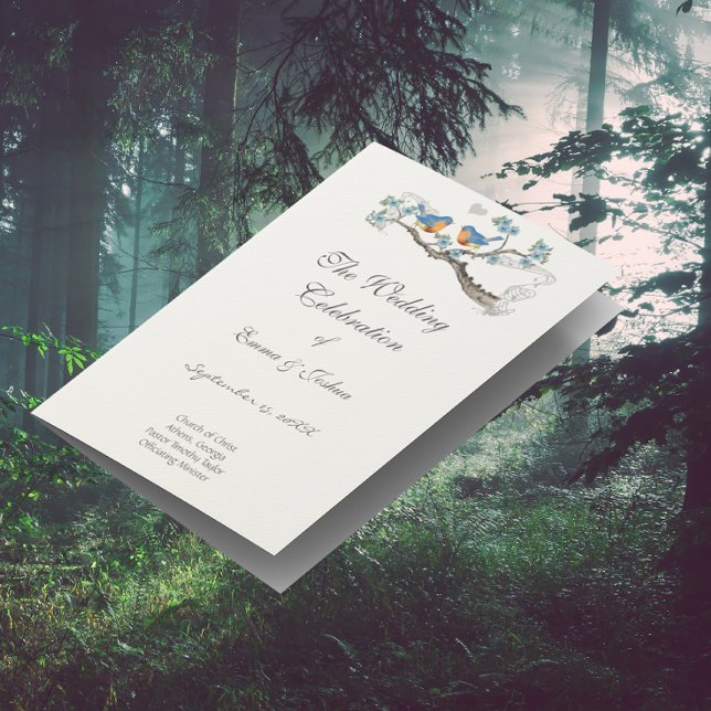 Vintage Bluebird-Programmcover (Von Creator hochgeladen)
