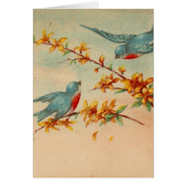 Vintage Bluebirds (Vorne)