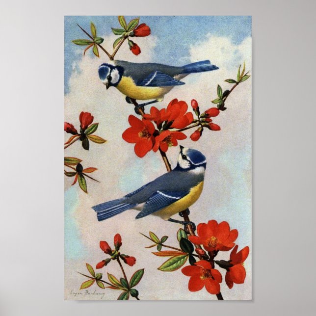 Vintage Bluebirts Rote Blüten Kunst Plakat drucken (Vorne)