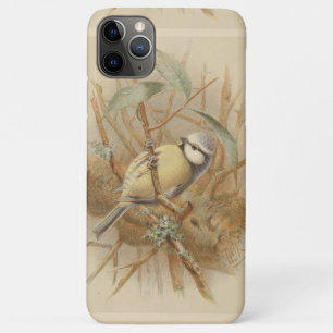 Vintage Bluetit-Illustration Case-Mate iPhone Hülle