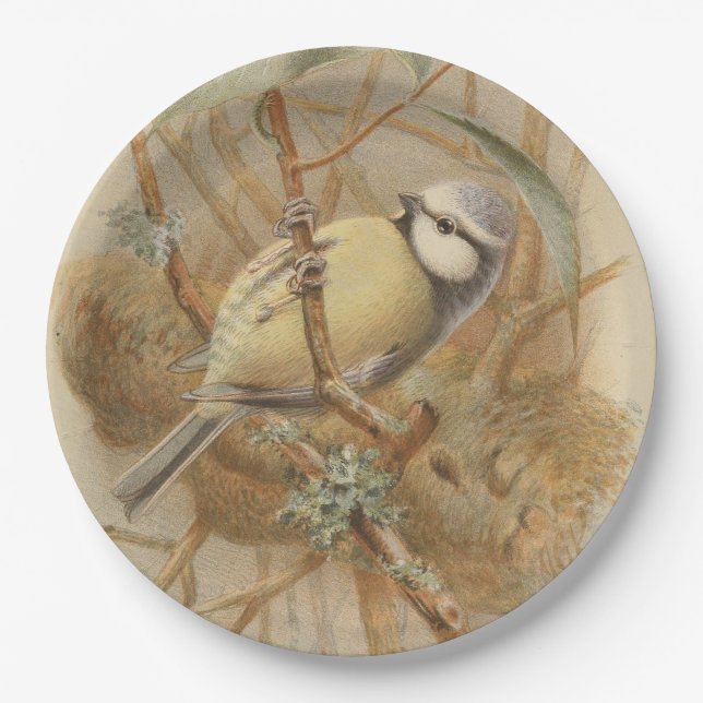 Vintage Bluetit-Illustration Pappteller (Vorderseite)