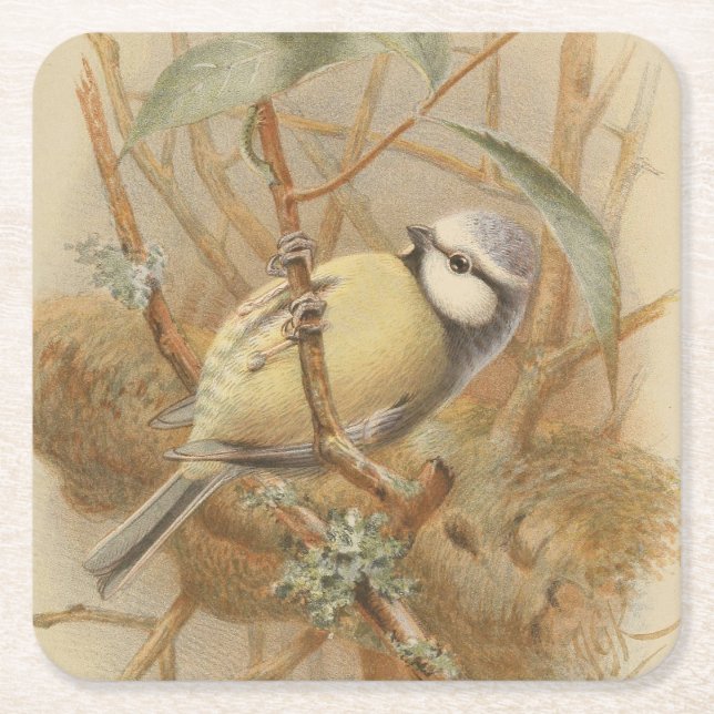 Vintage Bluetit-Illustration Rechteckiger Pappuntersetzer (Vorderseite)