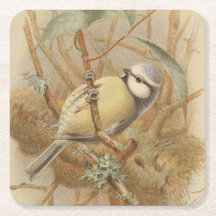 Vintage Bluetit-Illustration Rechteckiger Pappuntersetzer