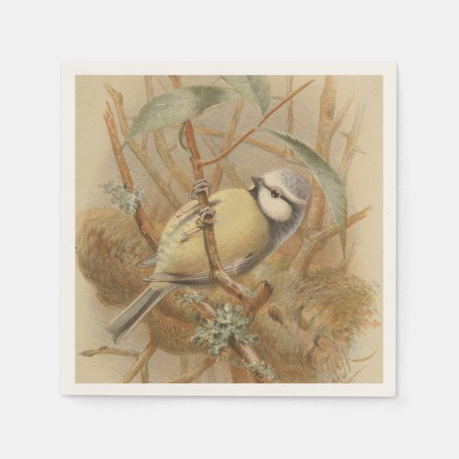 Vintage Bluetit-Illustration Serviette (Vorderseite)