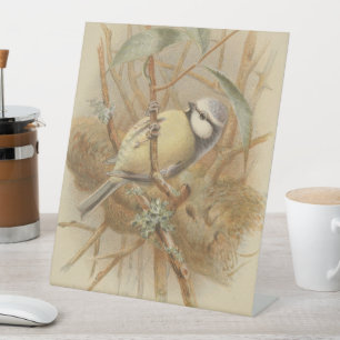 Vintage Bluetit-Illustration Sockelschild