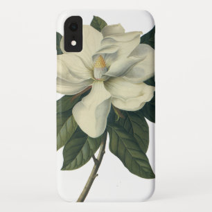 Vintage blühende weiße Magnolienblüten iPhone XR Hülle