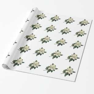 Vintage blühende weiße Magnolienblüten Geschenkpapier