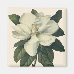 Vintage blühende weiße Magnolienblüten Magnet