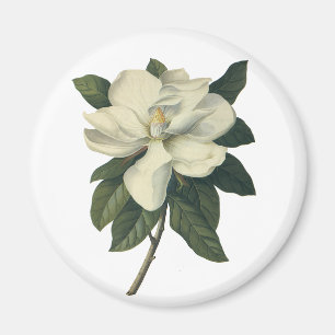 Vintage blühende weiße Magnolienblüten Magnet