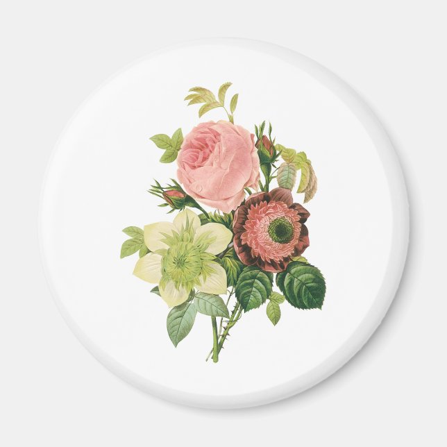 Vintage Blume, Anemone Rose Clematis von Redoute Magnet (Vorne)