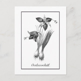 Vintage Blume-Ätzkarte Postkarte