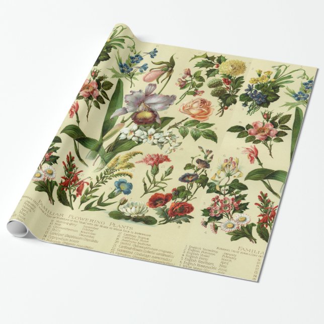 Vintage Blume Botanicals Geschenkpapier (Ungerollt)