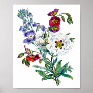 Vintage Blume Bouquet Poster