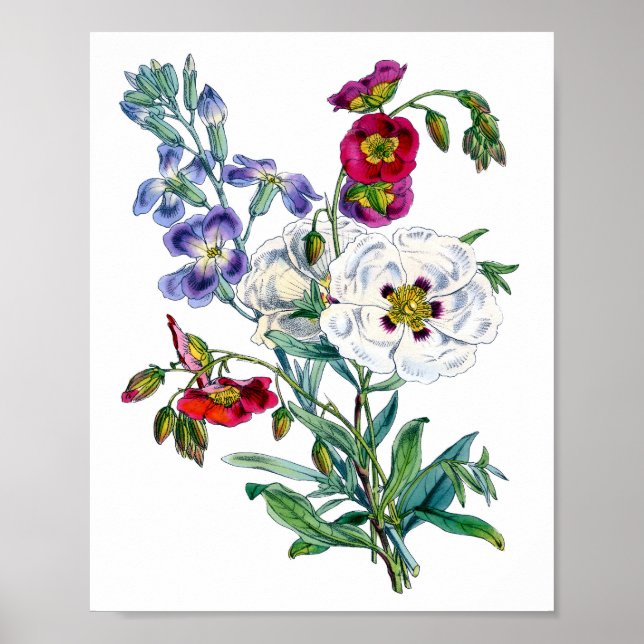 Vintage Blume Bouquet Poster (Vorne)