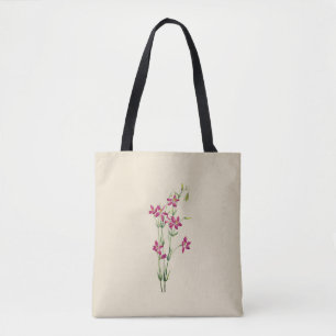 Vintage Blume - Centaurium von Mary Vaux Walcott