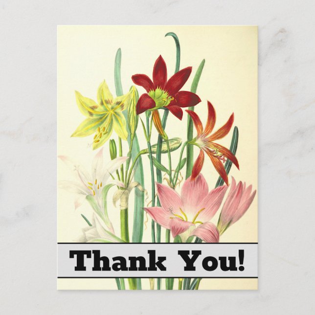Vintage Blume "Danke!" Postkarte (Vorderseite)