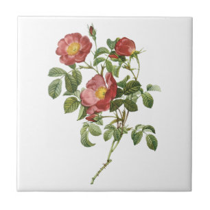 Vintage Blume Florale Rote Rose der Liebe durch Re Fliese