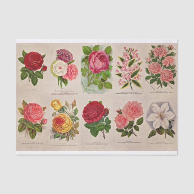 Vintage Blume für Decoupage oder Collage Paper Seidenpapier (Vorderseite)