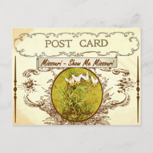 Vintage Blume Missouri Staat Postkarte
