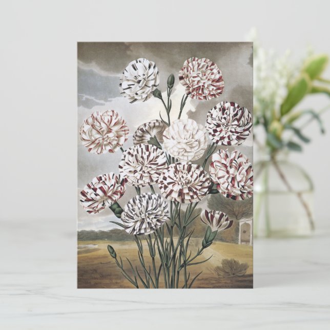 Vintage Blume mit variierter Narbenkarnation mit g (Stehend Vorderseite)