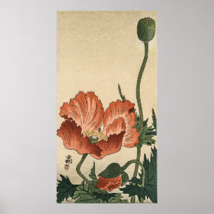 Vintage Blume Poppy von Ohara Koson Poster