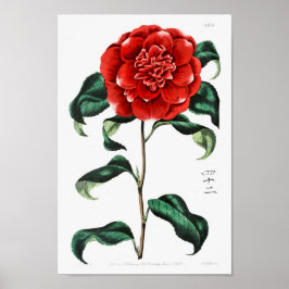Vintage Blume Poster