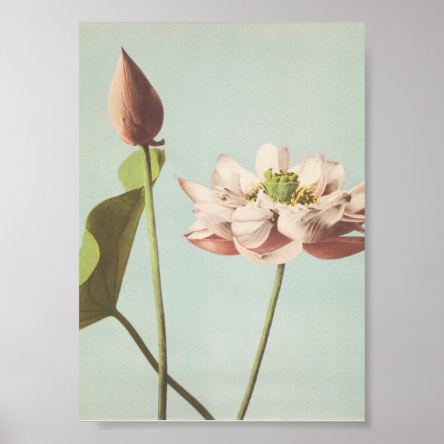 Vintage Blume Poster (Vorne)