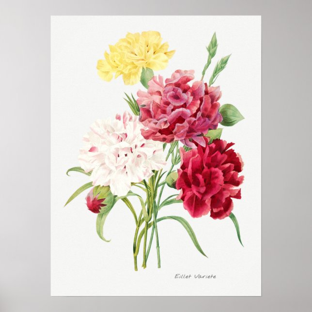 Vintage Blume Poster (Vorne)
