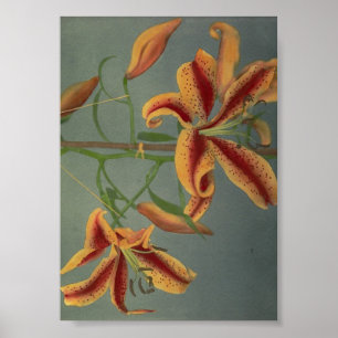 Vintage Blume Poster