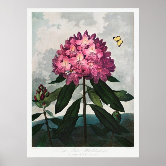 Vintage Blume Poster (Vorne)