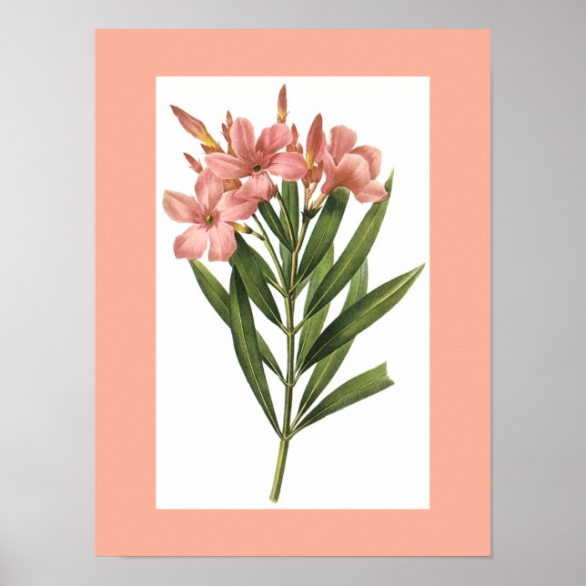 Vintage Blume Poster 3 (Vorne)