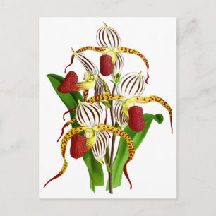 Vintage Blume Postkarte