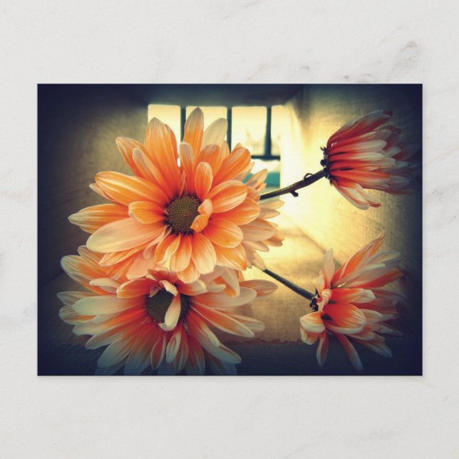 Vintage Blume Postkarte (Vorderseite)