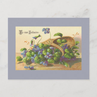 Vintage Blume Postkarten