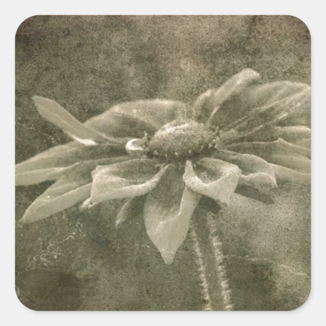 Vintage Blume Quadratischer Aufkleber (Vorderseite)