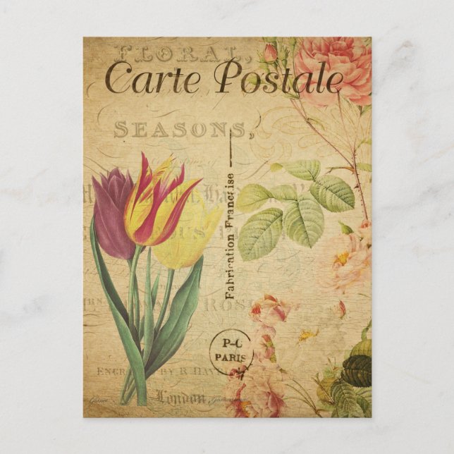 Vintage Blume Rot und Gelb Tulips Postkarte (Vorderseite)